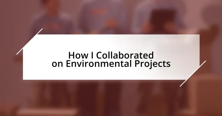 How I Collaborated on Environmental Projects