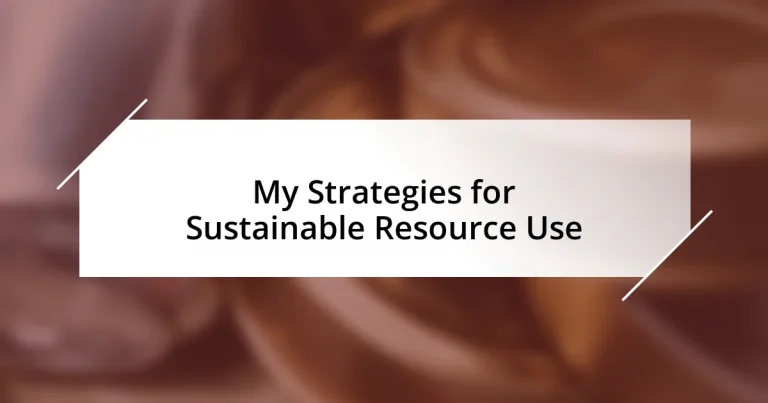 My Strategies for Sustainable Resource Use