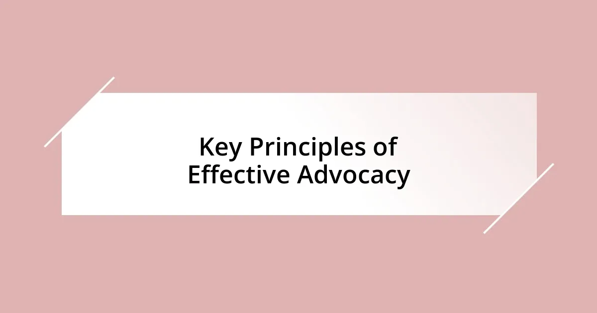 Key Principles of Effective Advocacy