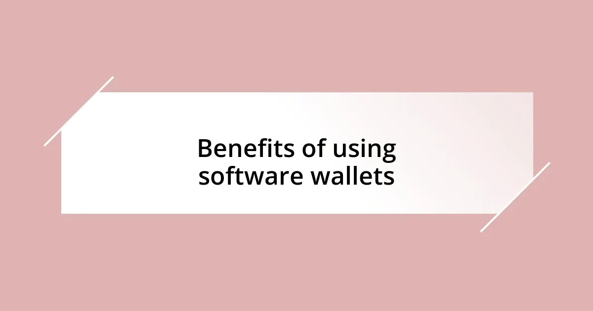 Benefits of using software wallets